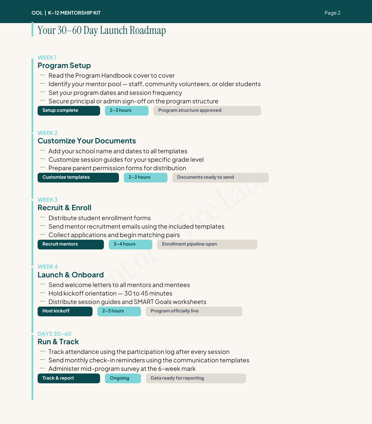 30-60 day launch roadmap with week-by-week steps: setup, document customization, recruit mentors, launch, track